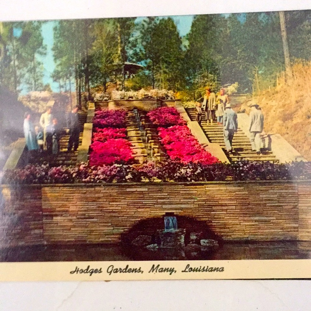 VINTAGE POST CARD